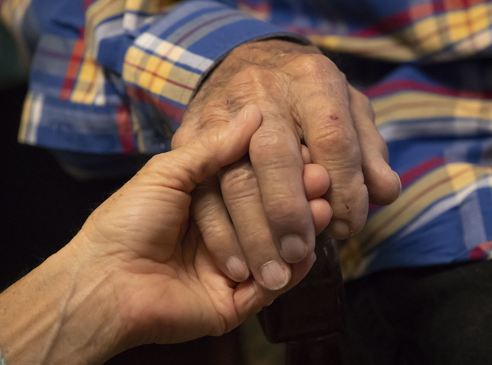 Elder Care Promo